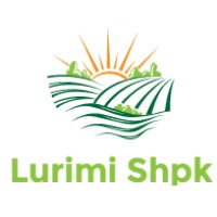 Lurimi shpk logo - Similar company to General Specific Strategy Partners