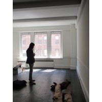 Maxine Shriber Interior Design New York logo - Similar company to Robert Kaner Interior Design