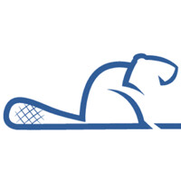 BEAVRS logo - Similar company to Gmprojects