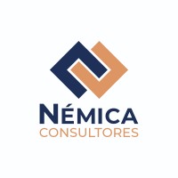 Nemica Consultores logo - Similar company to Learnin Academy