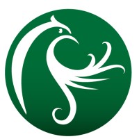 Bold Consulting logo - Similar company to Brava Consulting