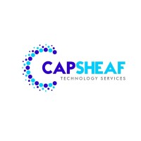 Capsheaf Information Technology Services logo - Similar company to Srushti Digital App Llp