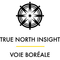 True North Insight logo - Similar company to Mindfulness Solidaire - Organisme De Formation
