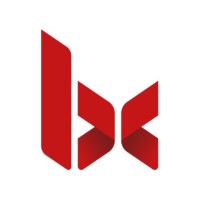 BeneluxSoft B.V. logo - Similar company to Mindopus