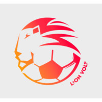 Lion Volt Group logo - Similar company to Saic Pro