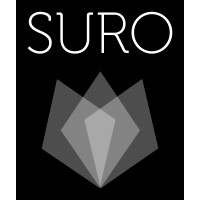 Suro.One logo - Similar company to Shablo