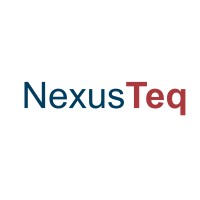 NexusTeq logo - Similar company to Vrajbytes