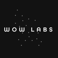 WOW Labs logo - Similar company to Schaefer Marketing Solutions