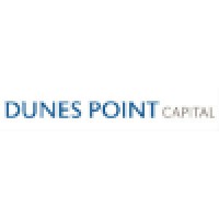 Dunes Point Capital, LP logo - Similar company to Fisher Global Development