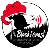 Blackforest Veranstaltungstechnik David König logo - Similar company to Activprint.Ch