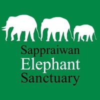 Sappraiwan Elephant Resort & Sanctuary logo - Similar company to Global Sanctuary For Elephants