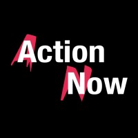 Action Now logo - Similar company to Centre For Democratic Integrity