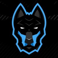 Dogmination Esports logo - Similar company to Bola 13 Studios