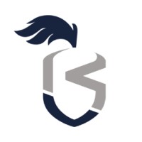 Knights Software Solutions GmbH logo - Similar company to Masch Software Solutions