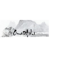 Omo10ashi Consulting Group logo - Similar company to Pc Advisory - Inclusion In Startups & Corporates