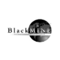 BlackMINE logo - Similar company to 360° Consulting Inc. - Leadership & Talent Development Experts