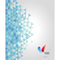 Vizyoner Eğitim & Danışmanlık