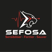 SEFOSA logo - Similar company to Graphityk