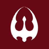 Dragon Federation logo - Similar company to Esguard.Io