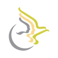 PXA EXPRESS logo - Similar company to Pro-Despatch Ltd