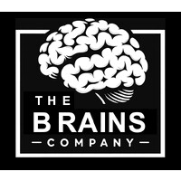 The Brains Company logo - Similar company to Pépite Sc