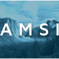 AMSI Enterprises logo - Similar company to Moonmoon