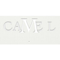 Camel Inc logo - Similar company to Camelcase