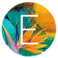 Emiliani Salon + Spa logo - Similar company to Flight Evolved