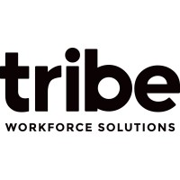 Tribe Workforce logo - Similar company to E73