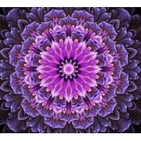 Consultório particular logo - Similar company to Caw Moda Masculina