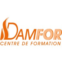 DAMFOR logo - Similar company to Kitkut Studio