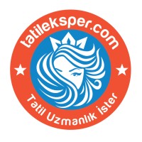TatilEksper.com logo - Similar company to Vista Mice