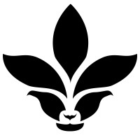 RISE Costa Rica logo - Similar company to Los™ Global