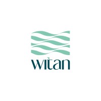 Witan Consulting logo - Similar company to Tangible Insights