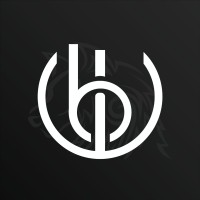 Blackwolve Technologies logo - Similar company to Nirvanatech Solutions