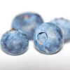Bilberry - Sport & Psychology logo - Similar company to Mv-Formation