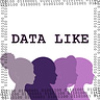 Datalike logo - Similar company to Datalike
