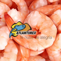 Grupo Atlantimex logo - Similar company to Procumar