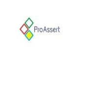 ProAssert logo - Similar company to Vembroid Design Services