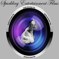 Sparkling Entertainment Films, LLC logo - Similar company to Journey Group