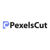 Pexelscut logo - Similar company to Ridgeben It Solutions Limited