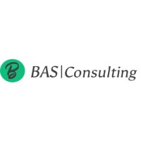BAS Consulting logo - Similar company to Netps