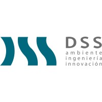 DSS S.A. logo - Similar company to Xpe Consult Spa