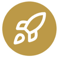 Launchly logo - Similar company to Wisealpha