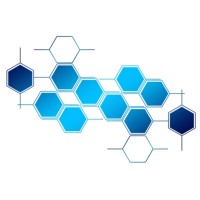 Next Paradigm Capital Ltd logo - Similar company to Paradigm Finance Ltd