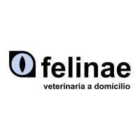 Felinae Veterinaria a Domicilio logo - Similar company to Nubika
