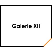 GALERIE XII logo - Similar company to Tekify Fiber & Wireless