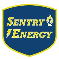 Sentry Energy Management Services, Inc. logo - Similar company to Lower Electric Llc