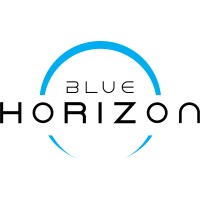 Blue Horizon 3D logo - Similar company to Studio Bluehill