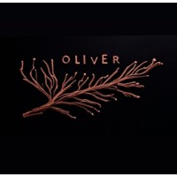 Oliver Companies Inc. logo - Similar company to Luxury Brands Direct